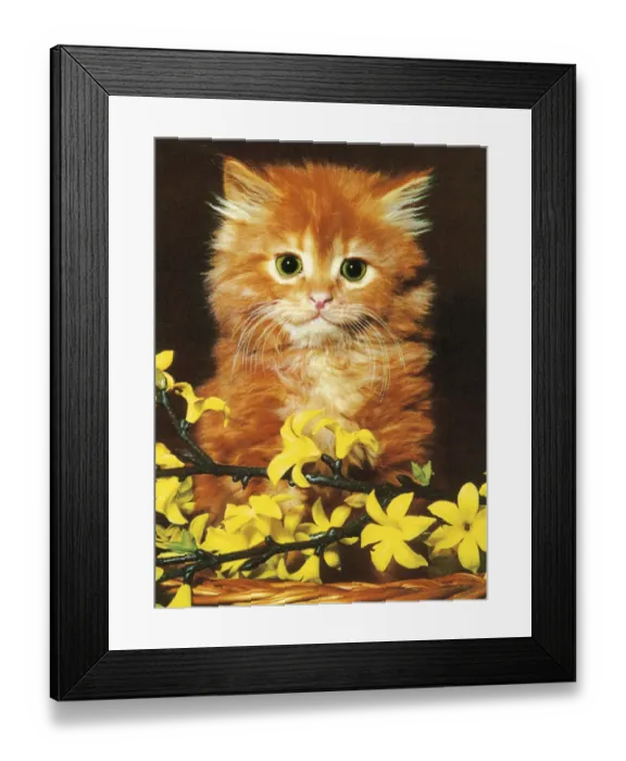 Framed Print : Orange Kitten with Flowers Framed Print : Orange Kitten with Flowers