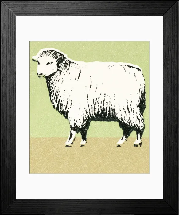 Framed Print : Sheep. http: / / csaimages.com / images / istockprofile / csa_vector_dsp.jpg Framed Print : Sheep. http: / / csaimages.com / images / istockprofile / csa_vector_dsp.jpg