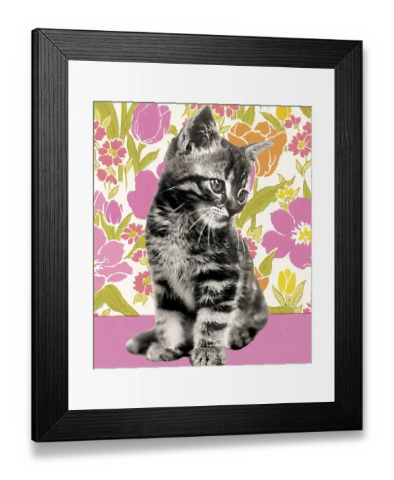 Framed Print : Kitten on a Floral Background Framed Print : Kitten on a Floral Background