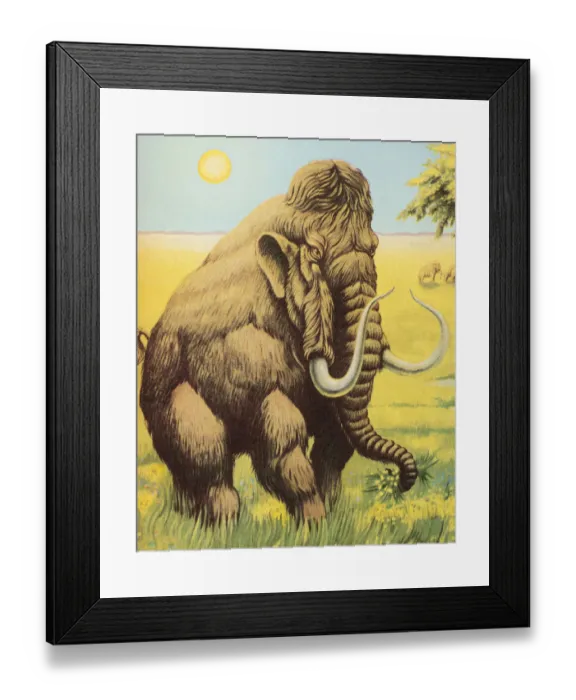 Framed Print : Woolly Mammoth Framed Print : Woolly Mammoth