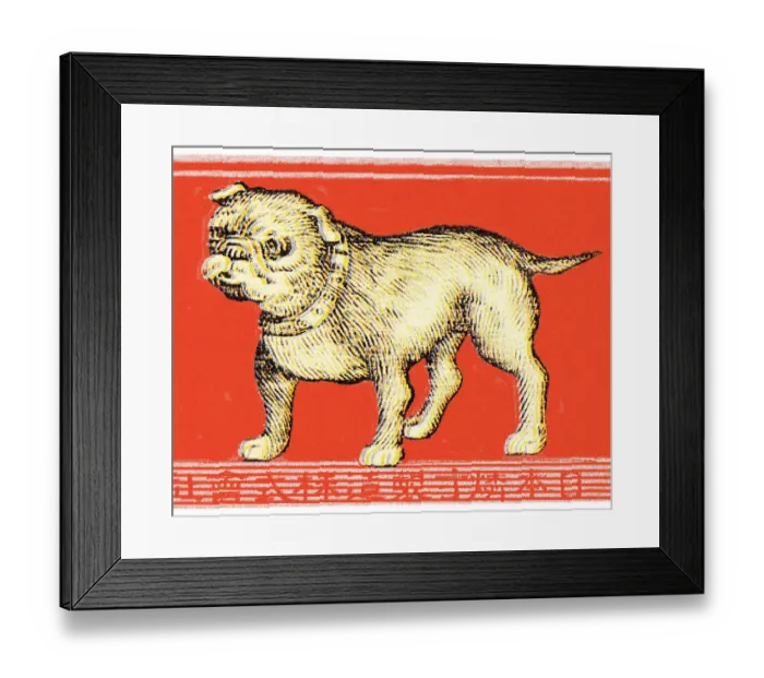 Framed Print : Bulldog. http: / / csaimages.com / images / istockprofile / csa_vector_dsp.jpg Framed Print : Bulldog. http: / / csaimages.com / images / istockprofile / csa_vector_dsp.jpg
