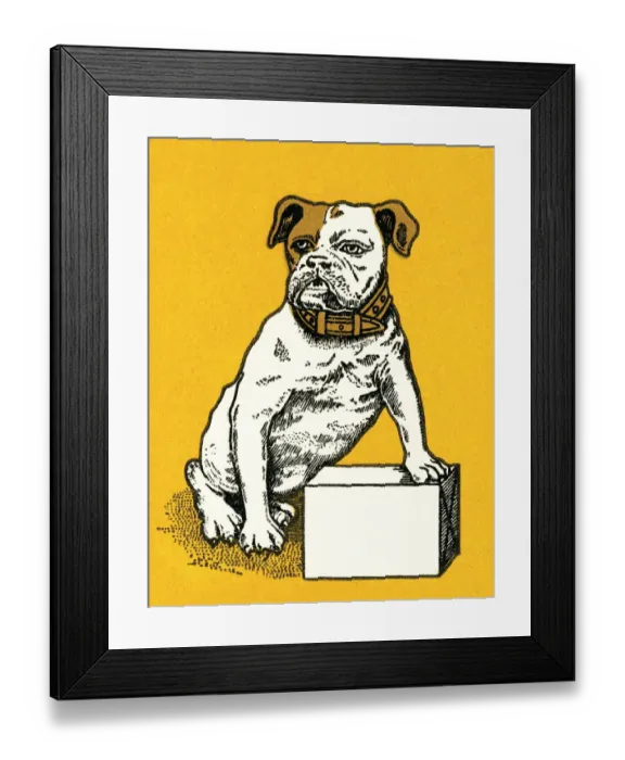 Framed Print : Dog on a box Framed Print : Dog on a box