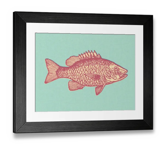 Framed Print : Pink Fish. http: / / csaimages.com / images / istockprofile / csa_vector_dsp.jpg Framed Print : Pink Fish. http: / / csaimages.com / images / istockprofile / csa_vector_dsp.jpg