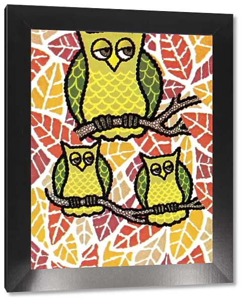 Owls. http: /  / csaimages.com / images / istockprofile / csa_vector_dsp.jpg