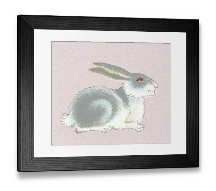 Framed Print : Profile of a Rabbit Framed Print : Profile of a Rabbit