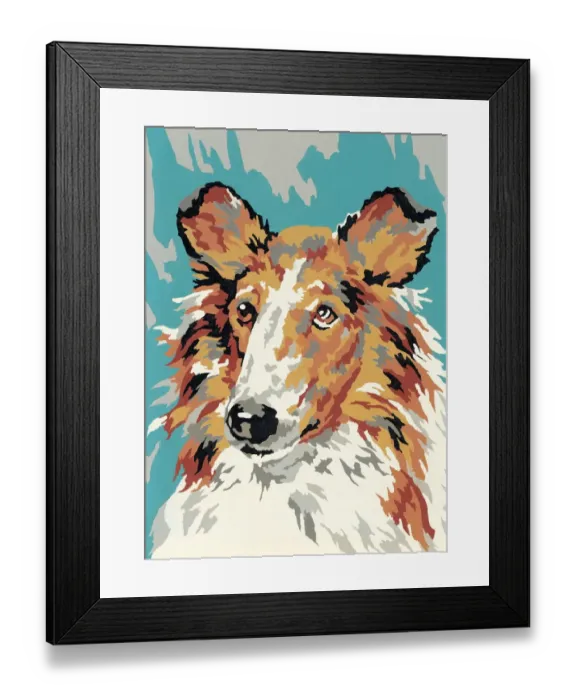 Framed Print : Collie. http: / / csaimages.com / images / istockprofile / csa_vector_dsp.jpg Framed Print : Collie. http: / / csaimages.com / images / istockprofile / csa_vector_dsp.jpg