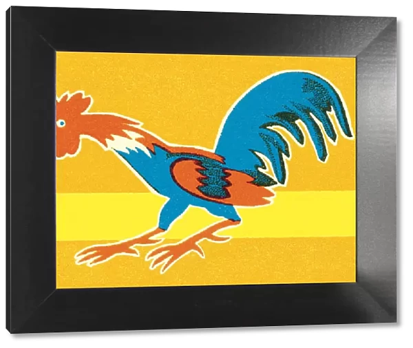 Rooster. http: /  / csaimages.com / images / istockprofile / csa_vector_dsp.jpg