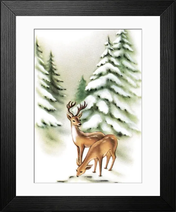Framed Print : Deer in front of pine trees Framed Print : Deer in front of pine trees