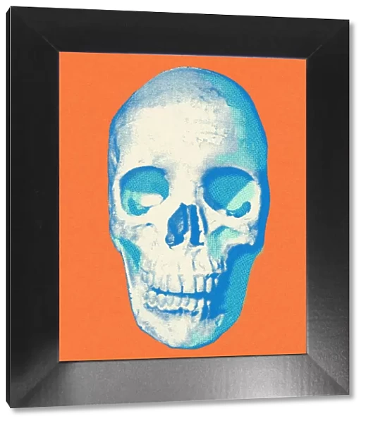 Skull on an Orange Background
