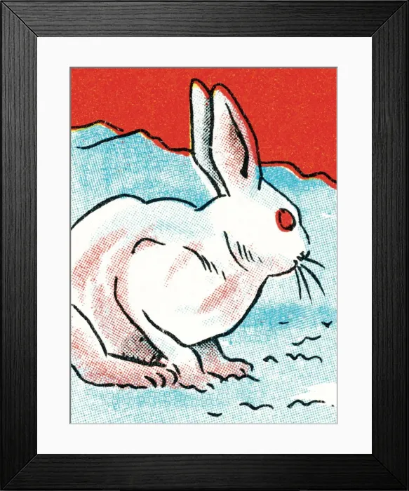 Framed Print : Rabbit. http: / / csaimages.com / images / istockprofile / csa_vector_dsp.jpg Framed Print : Rabbit. http: / / csaimages.com / images / istockprofile / csa_vector_dsp.jpg