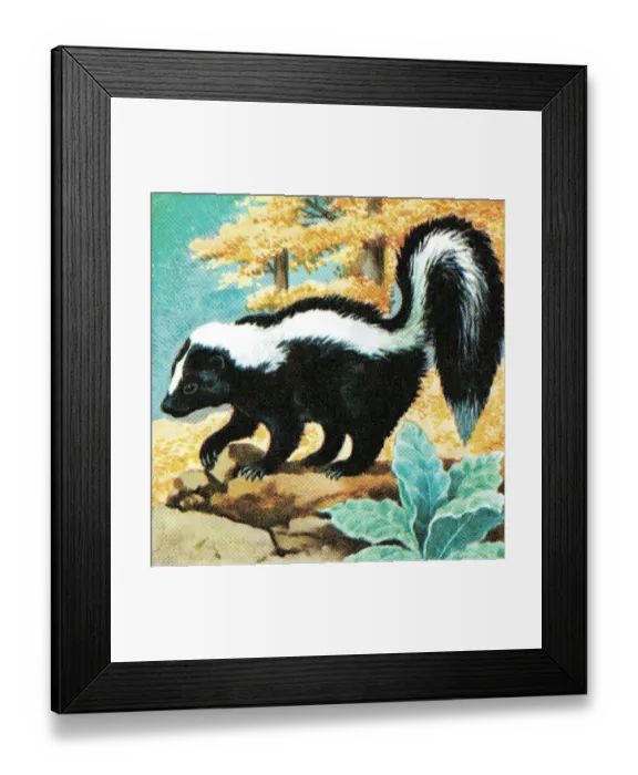Framed Print : Skunk. http: / / csaimages.com / images / istockprofile / csa_vector_dsp.jpg Framed Print : Skunk. http: / / csaimages.com / images / istockprofile / csa_vector_dsp.jpg