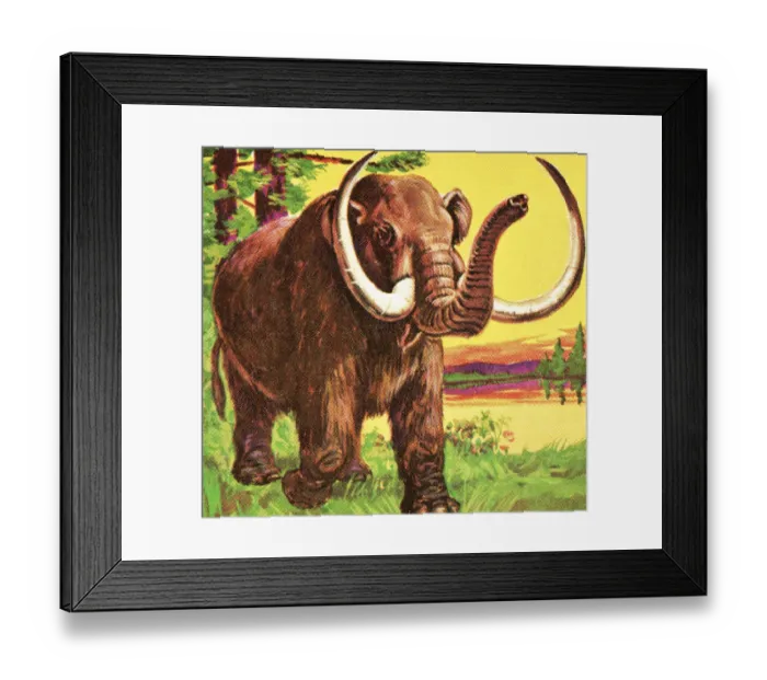 Framed Print : Woolly mammoth Framed Print : Woolly mammoth