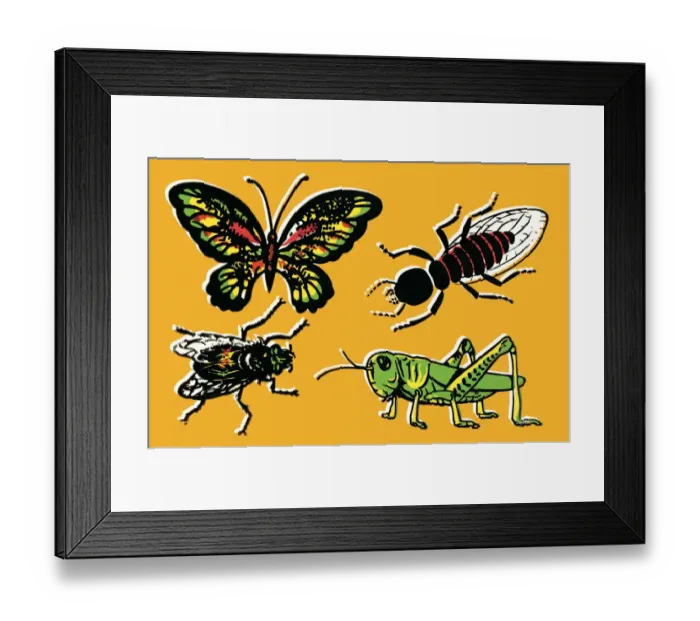Framed Print : Insects. http: / / csaimages.com / images / istockprofile / csa_vector_dsp.jpg Framed Print : Insects. http: / / csaimages.com / images / istockprofile / csa_vector_dsp.jpg