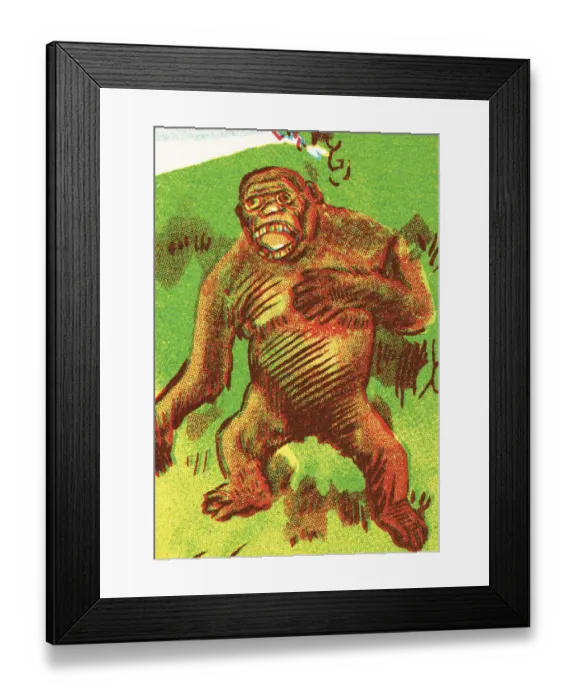 Framed Print : Gorilla. http: /  / csaimages.com / images / istockprofile / csa_vector_dsp.jpg
