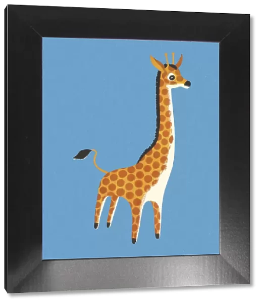 Giraffe on a Blue Background