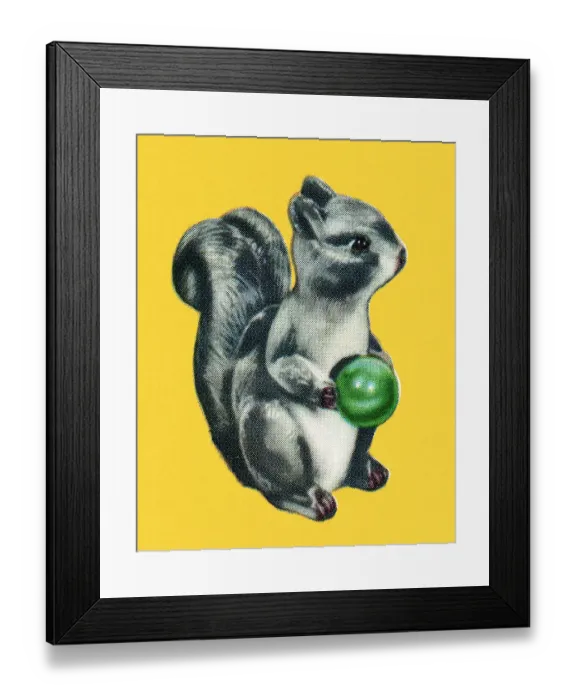 Framed Print : Squirrel Holding a Little Ball Framed Print : Squirrel Holding a Little Ball