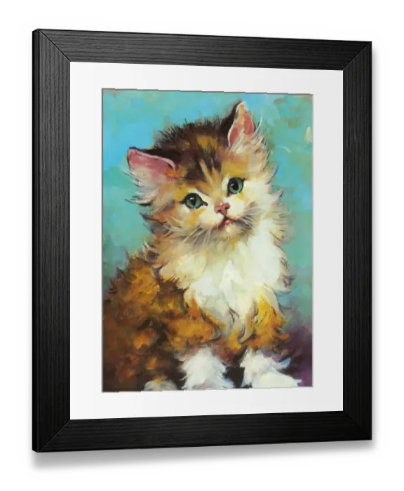 Framed Print : Fluffy Cat Framed Print : Fluffy Cat