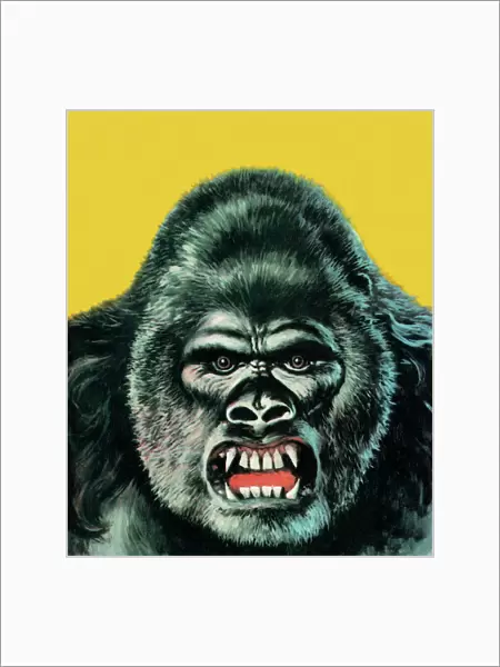 Angry Gorilla Illustration