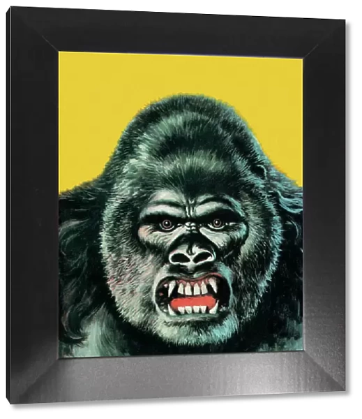 Angry Gorilla Illustration