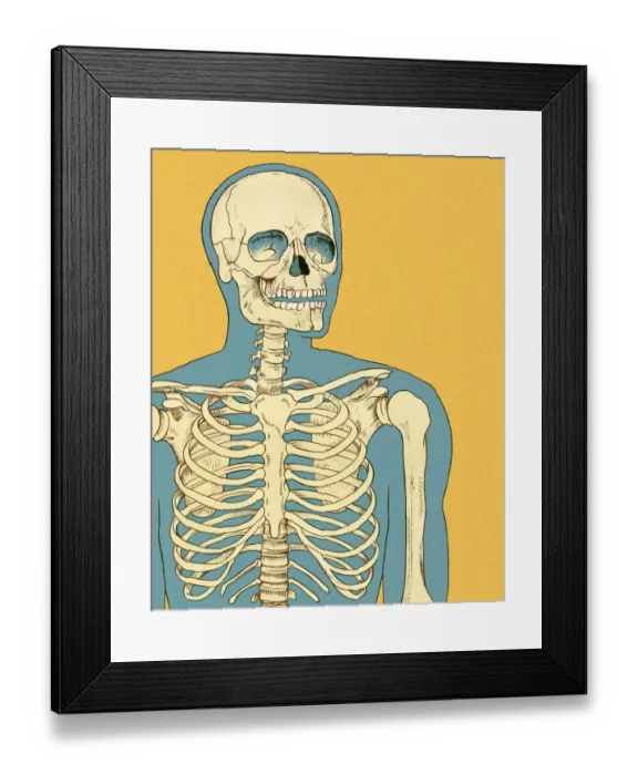 Framed Print : Human Skeleton Framed Print : Human Skeleton