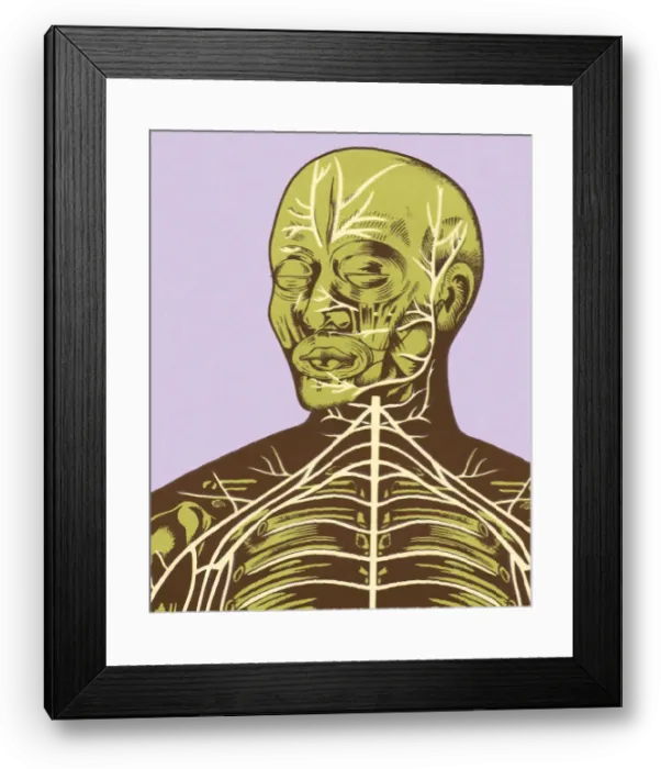 Framed Print : Close-up of Nerves of Head and Chest