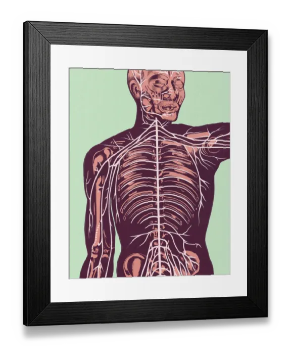 Framed Print : Anatomy of Nerves of Body and Head Framed Print : Anatomy of Nerves of Body and Head