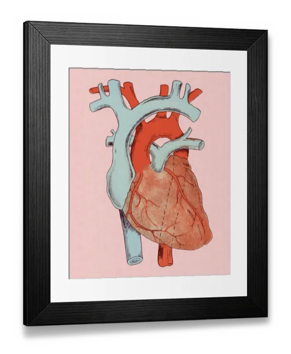 Framed Print : Heart Diagram Framed Print : Heart Diagram