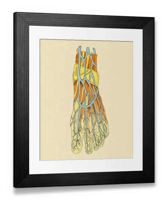 Framed Print : Vessels in The Foot Framed Print : Vessels in The Foot