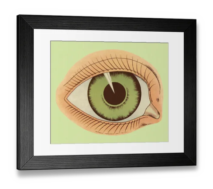 Framed Print : Green Eye. http: /  / csaimages.com / images / istockprofile / csa_vector_dsp.jpg