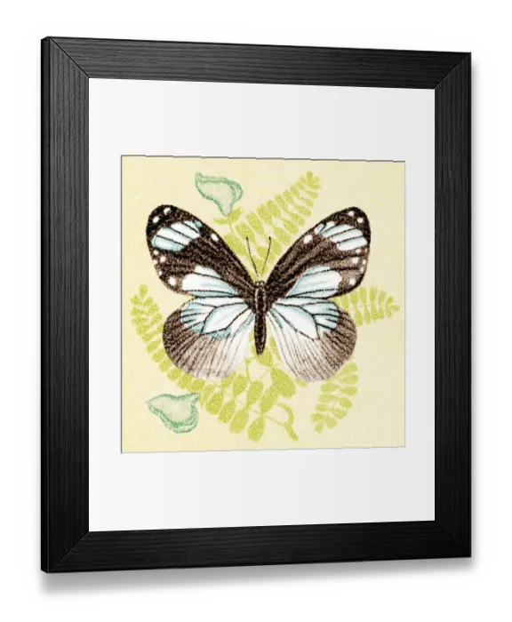 Framed Print : Butterfly. http: / / csaimages.com / images / istockprofile / csa_vector_dsp.jpg Framed Print : Butterfly. http: / / csaimages.com / images / istockprofile / csa_vector_dsp.jpg