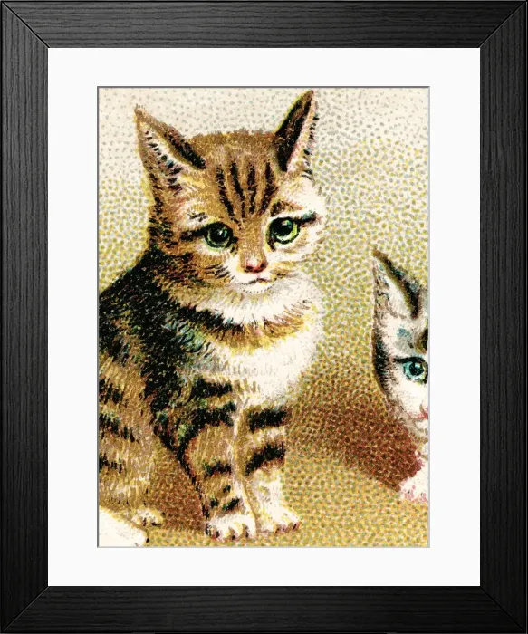 Framed Print : Kitty. http: / / csaimages.com / images / istockprofile / csa_vector_dsp.jpg Framed Print : Kitty. http: / / csaimages.com / images / istockprofile / csa_vector_dsp.jpg