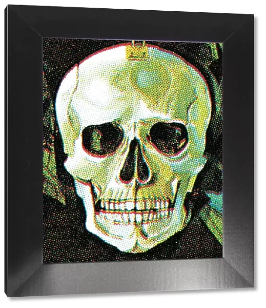 Skull. http: /  / csaimages.com / images / istockprofile / csa_vector_dsp.jpg