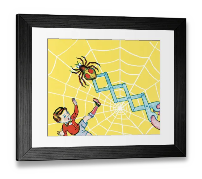 Framed Print : Spider on a spring Framed Print : Spider on a spring