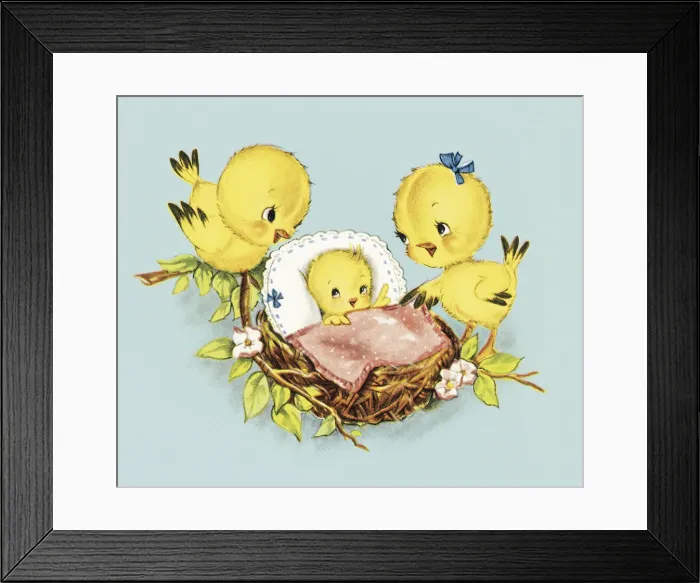 Framed Print : Baby chicks Framed Print : Baby chicks