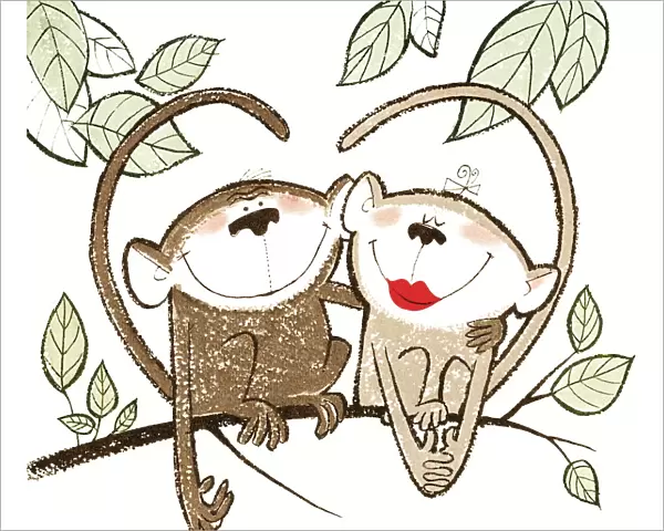 Love monkeys