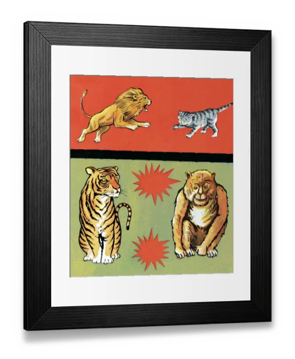 Framed Print : Lion, Tiger, Cat Framed Print : Lion, Tiger, Cat