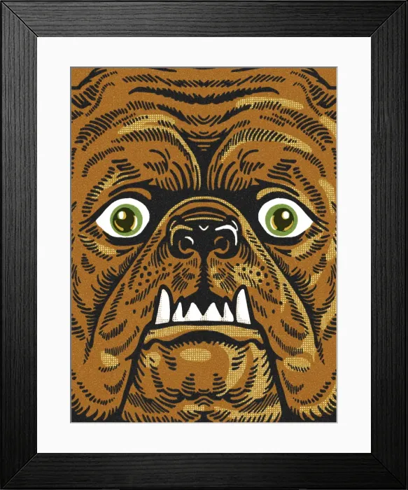Framed Print : Closeup of a Dog Face Framed Print : Closeup of a Dog Face