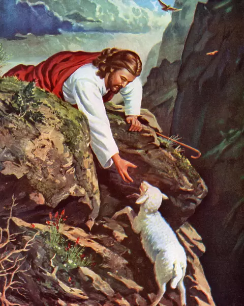 Jesus Reaching for a Lost Sheep