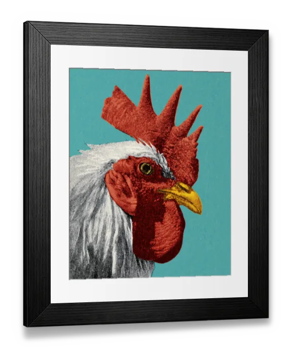 Framed Print : Head of a Rooster Framed Print : Head of a Rooster