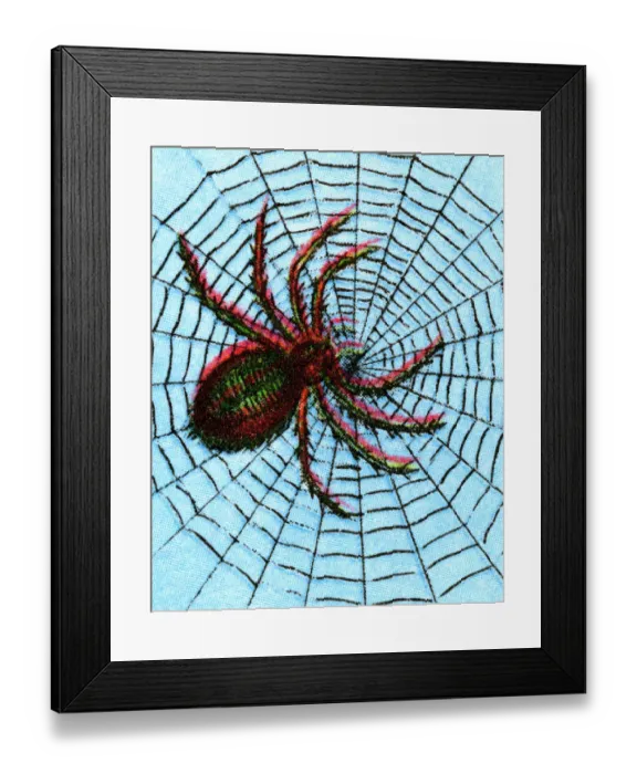 Framed Print : Spider on a Spiderweb Framed Print : Spider on a Spiderweb