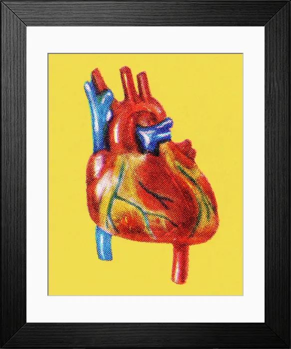 Framed Print : Human Heart Framed Print : Human Heart