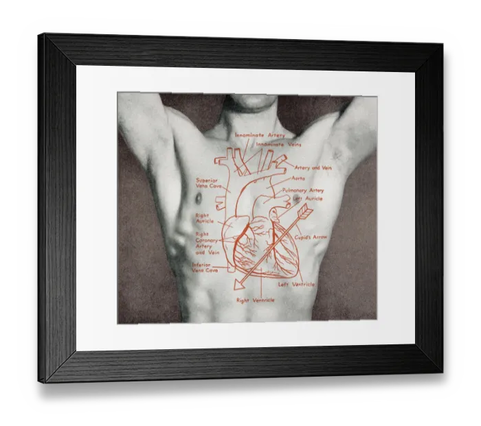 Framed Print : Mans torso Framed Print : Mans torso