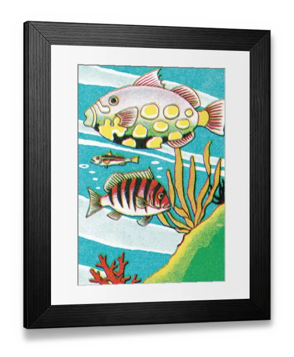 Framed Print : Fish. http: / / csaimages.com / images / istockprofile / csa_vector_dsp.jpg Framed Print : Fish. http: / / csaimages.com / images / istockprofile / csa_vector_dsp.jpg