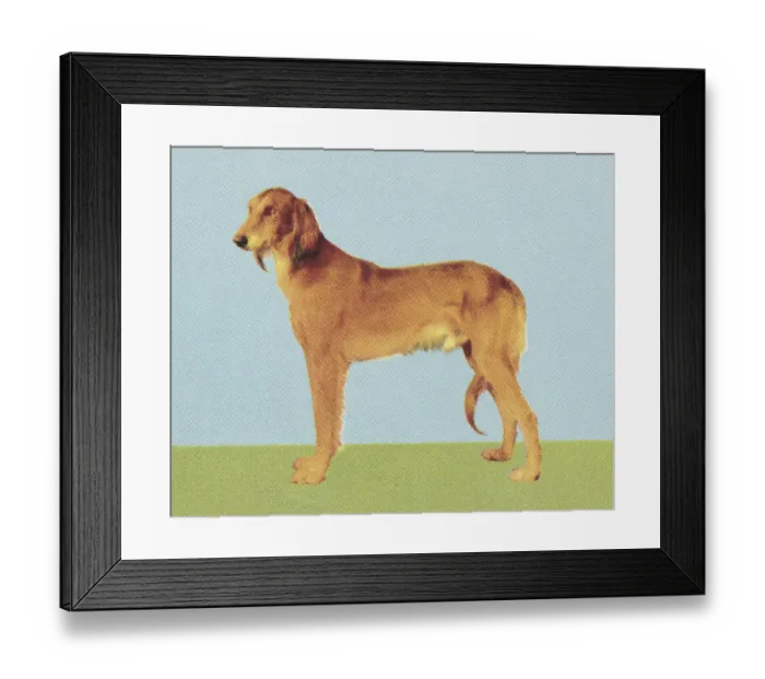 Framed Print : Large Dog. http: / / csaimages.com / images / istockprofile / csa_vector_dsp.jpg Framed Print : Large Dog. http: / / csaimages.com / images / istockprofile / csa_vector_dsp.jpg