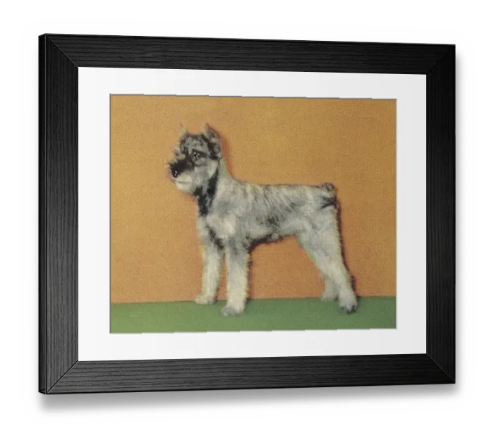 Framed Print : Terrier. http: / / csaimages.com / images / istockprofile / csa_vector_dsp.jpg Framed Print : Terrier. http: / / csaimages.com / images / istockprofile / csa_vector_dsp.jpg