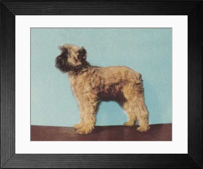 Framed Print : Terrier. http: / / csaimages.com / images / istockprofile / csa_vector_dsp.jpg Framed Print : Terrier. http: / / csaimages.com / images / istockprofile / csa_vector_dsp.jpg