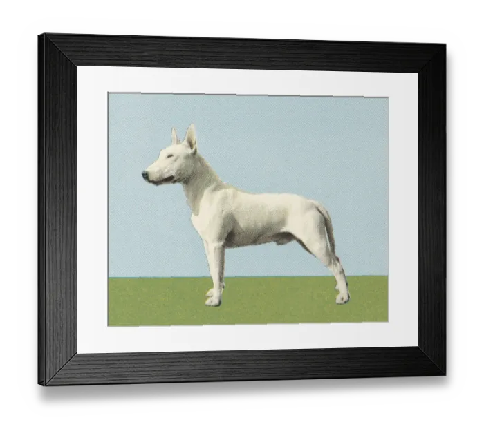 Framed Print : Terrier. http: / / csaimages.com / images / istockprofile / csa_vector_dsp.jpg Framed Print : Terrier. http: / / csaimages.com / images / istockprofile / csa_vector_dsp.jpg