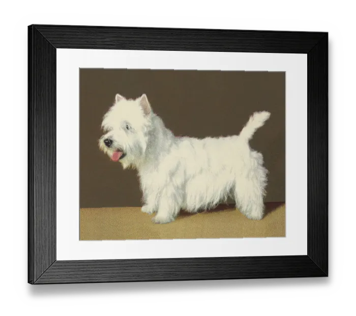 Framed Print : Terrier. http: / / csaimages.com / images / istockprofile / csa_vector_dsp.jpg Framed Print : Terrier. http: / / csaimages.com / images / istockprofile / csa_vector_dsp.jpg