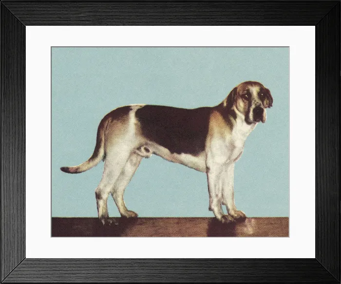 Framed Print : Hound Dog. http: / / csaimages.com / images / istockprofile / csa_vector_dsp.jpg Framed Print : Hound Dog. http: / / csaimages.com / images / istockprofile / csa_vector_dsp.jpg