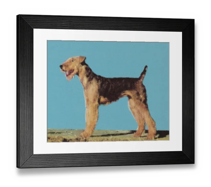 Framed Print : Terrier. http: / / csaimages.com / images / istockprofile / csa_vector_dsp.jpg Framed Print : Terrier. http: / / csaimages.com / images / istockprofile / csa_vector_dsp.jpg